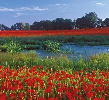 Lägenhet Mala Wenecja *